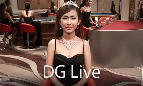 Live Casino Provider